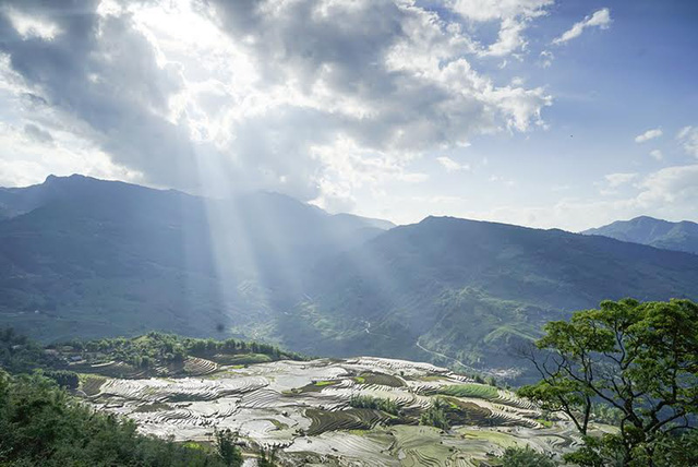[-]Vẻ[-]đẹp[-]ruộng[-]bậc[-]thang[-]Lào[-]Cai[-]mùa[-]nước[-]đổ